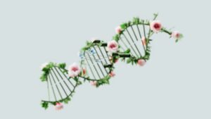Read more about the article The Genomic Predictor: Decoding Life’s Blueprint Through Advanced Computational Biology